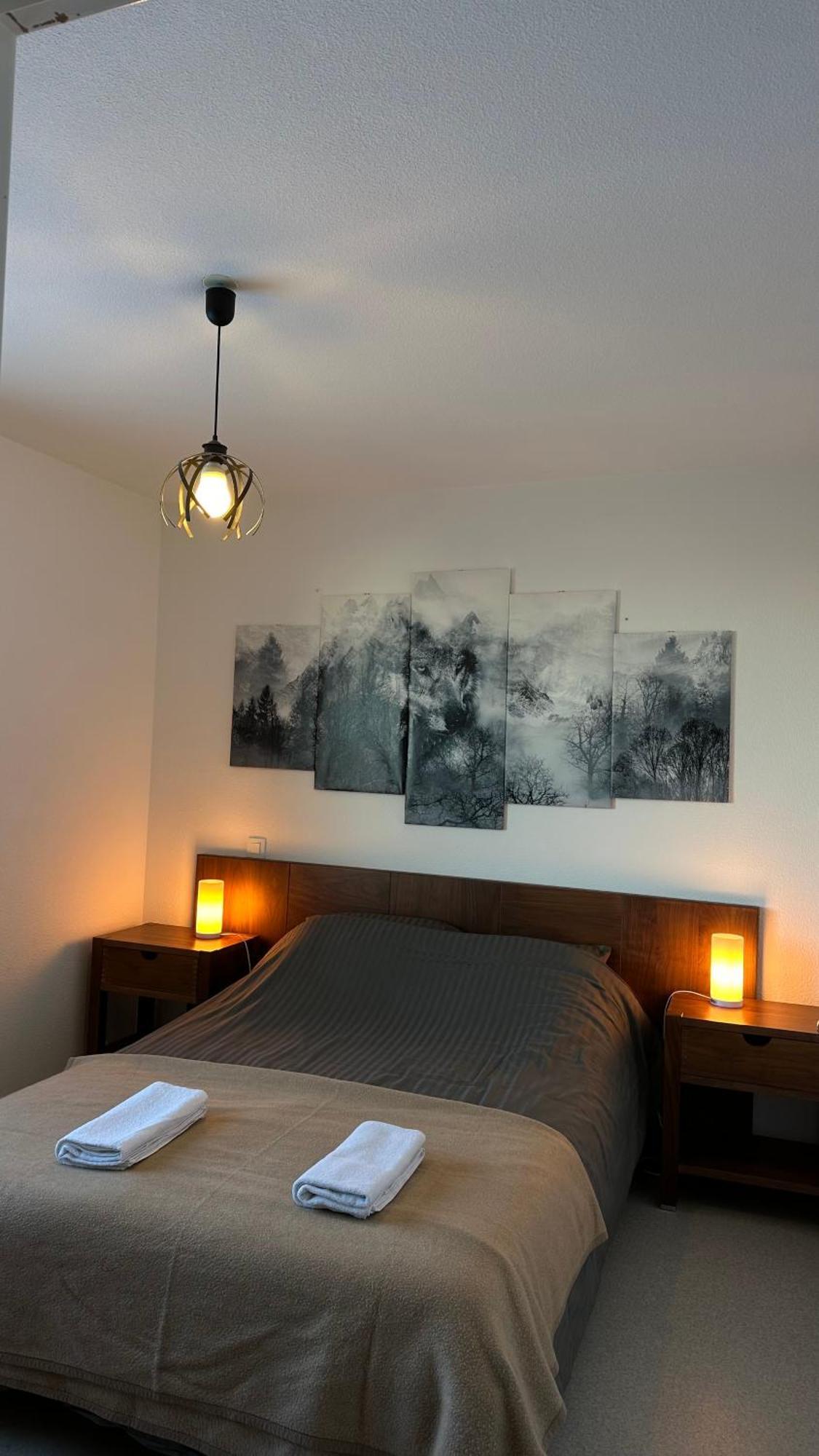 Appartements Du Pic D'Anie Arette Dış mekan fotoğraf