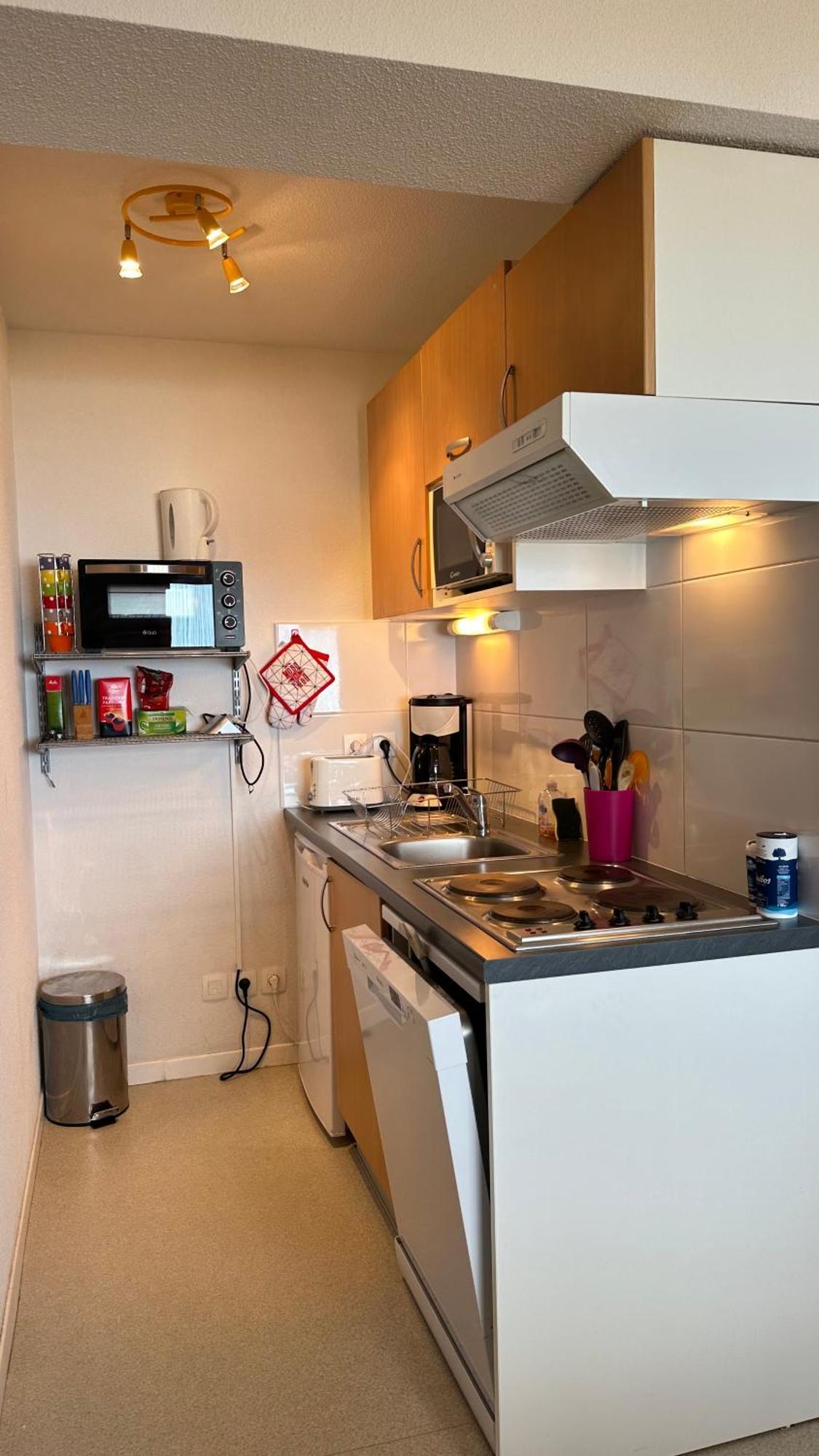 Appartements Du Pic D'Anie Arette Dış mekan fotoğraf